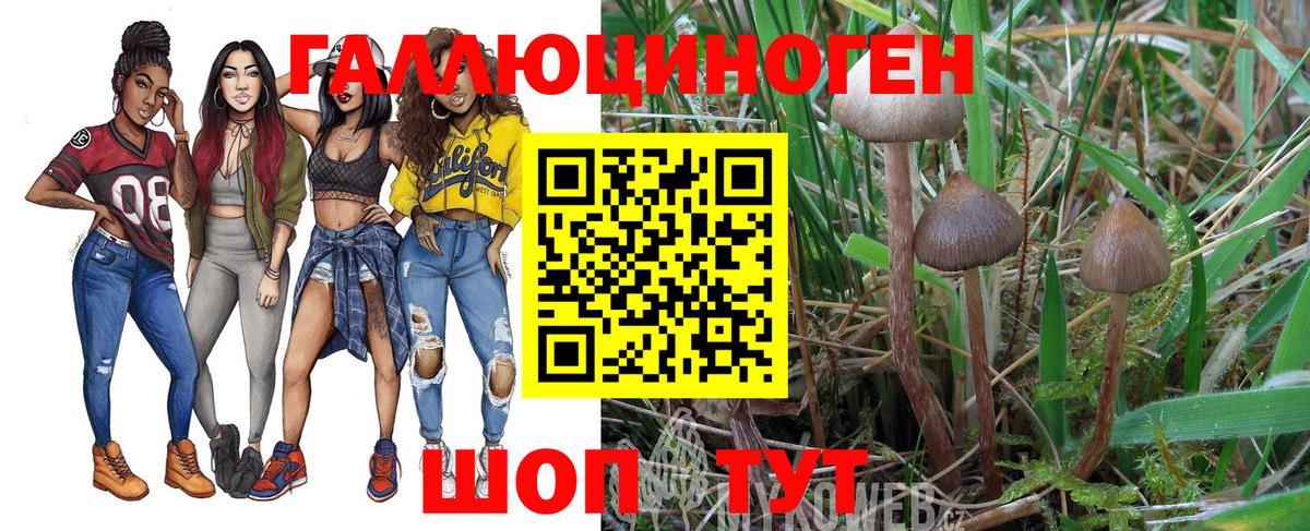 Галлюциногенные грибы Magic Shrooms  Вход с VPN  Туймазы  Галлюциногенные грибы GOLDEN TEACHER 